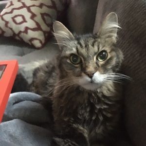 Meet your Posher, Marla